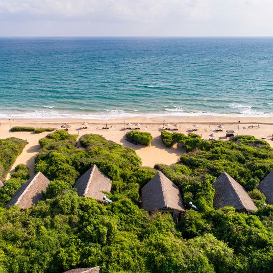 UGA JUNGLE BEACH