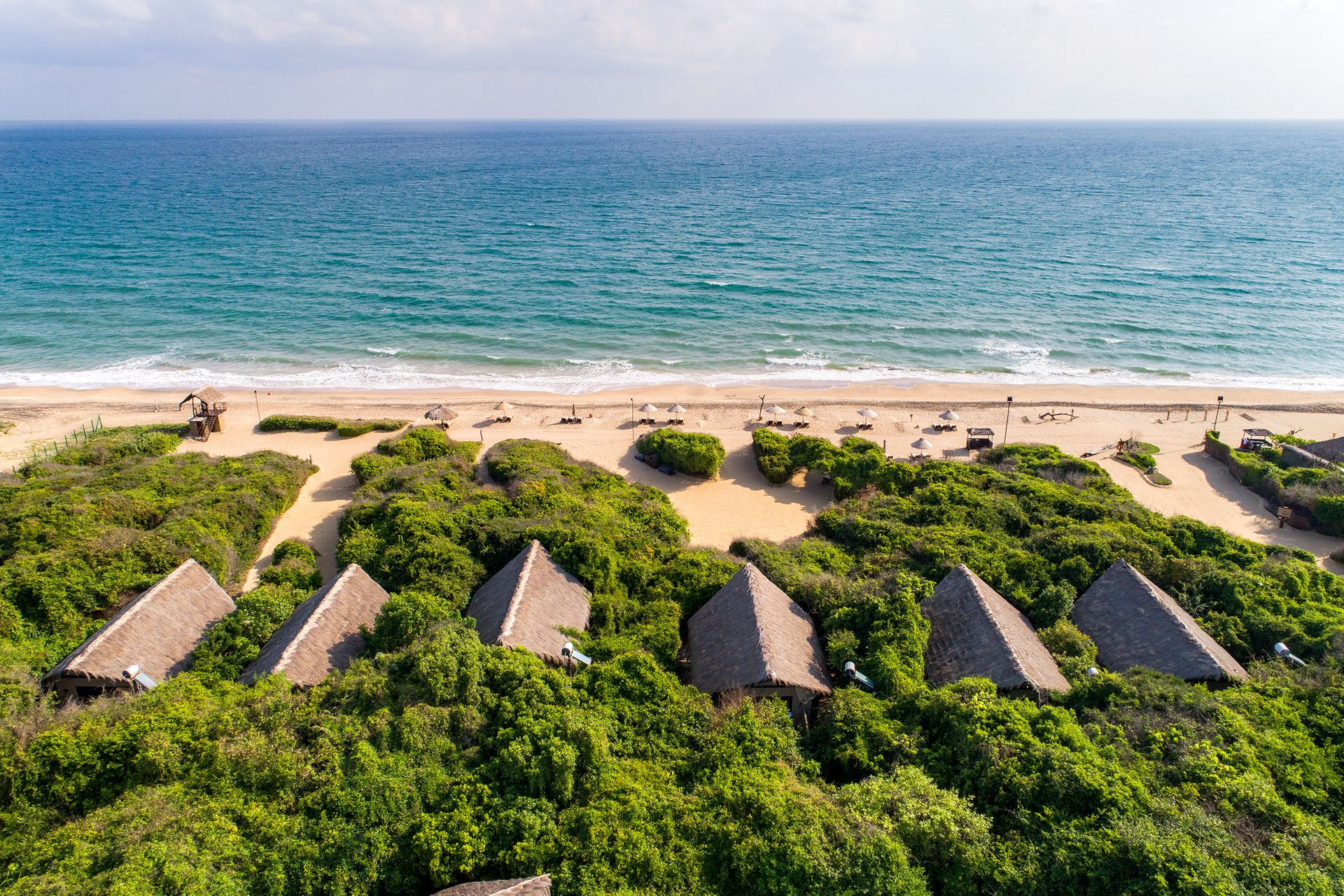 A row of thatched beach cabins in dense scrub just above the beach and the sea