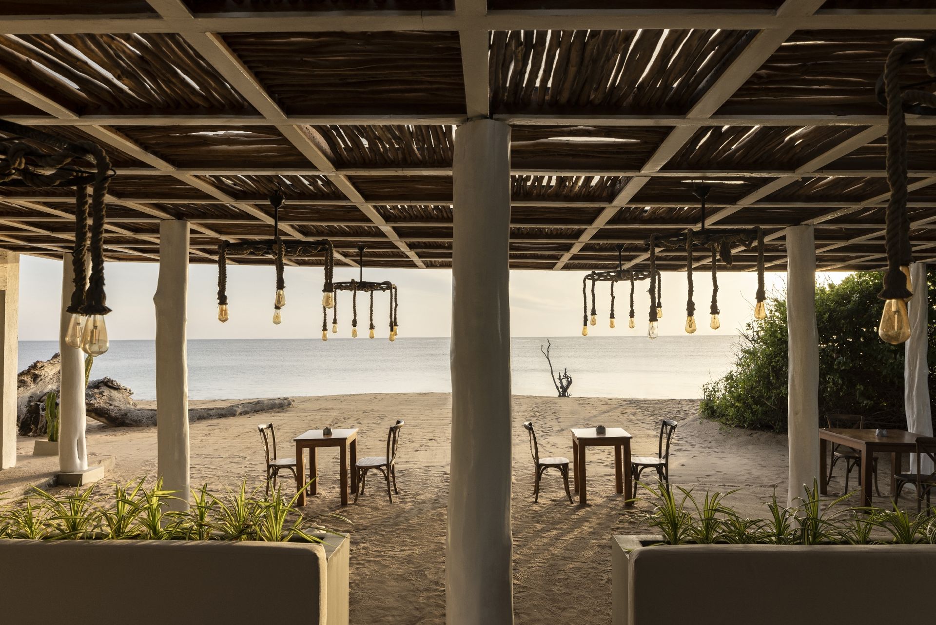Beach Bar
