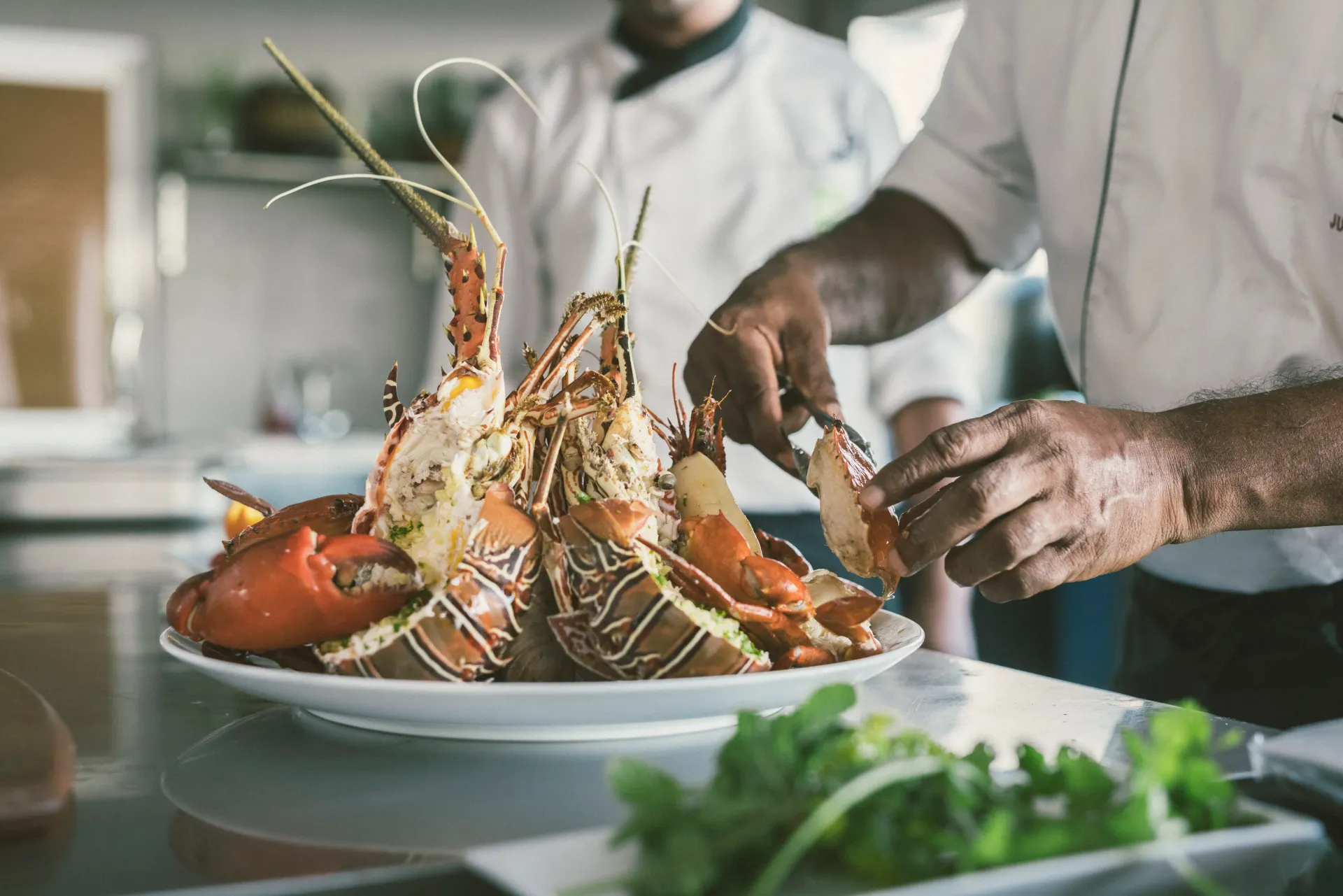 Signature Dining Experience Dining