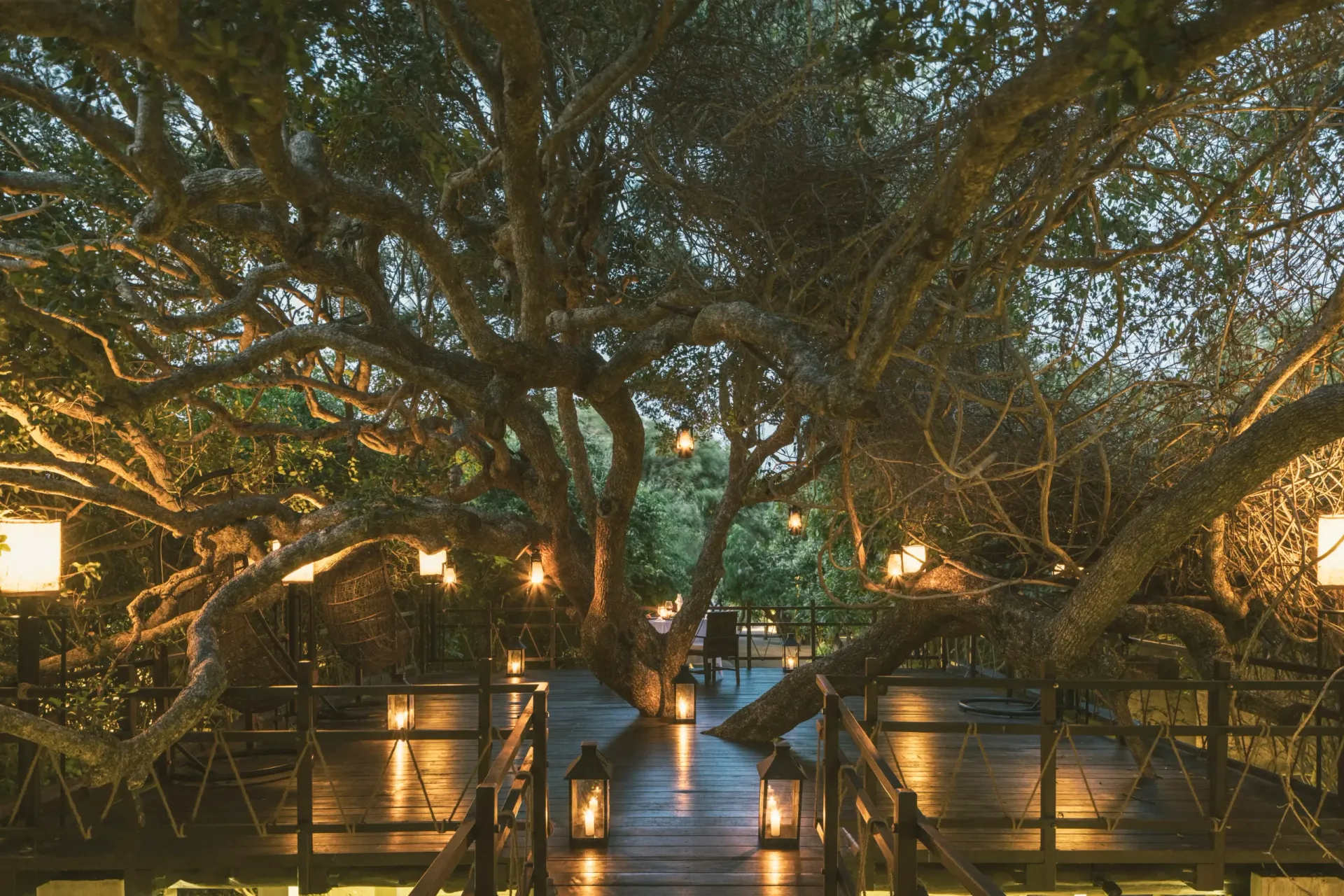 Signature Dining Experience