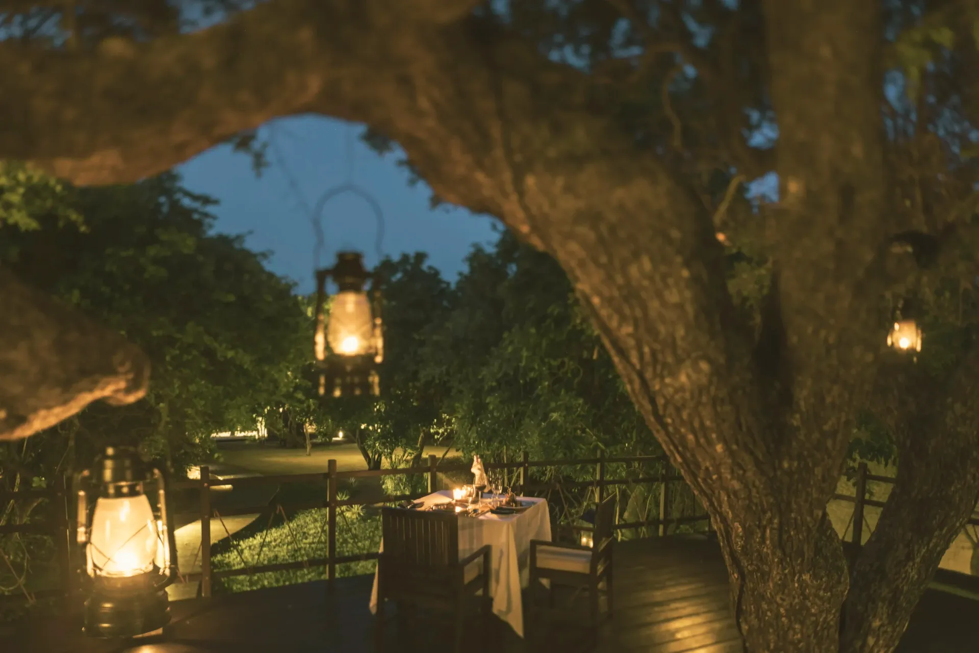 Signature Dining Experience Dining