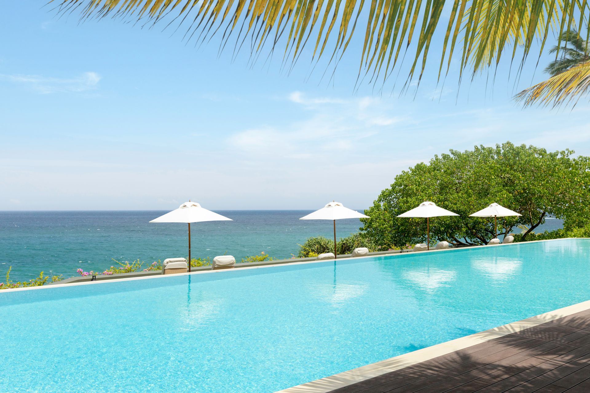 The infinity pool, with white parasols and loungers along its sea-facing edge and the open sea beyond, under a palm frond
