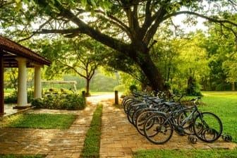 Ulagalla: Best Honeymoon Destination