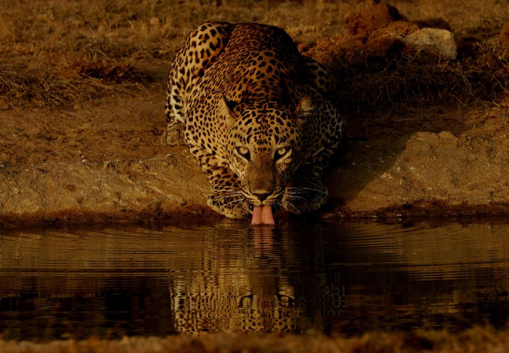 Why Visit Sri Lanka?