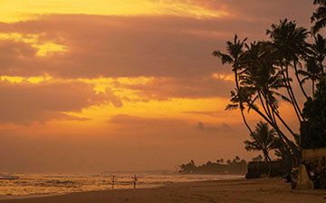 Top 5 Beaches in Sri Lanka