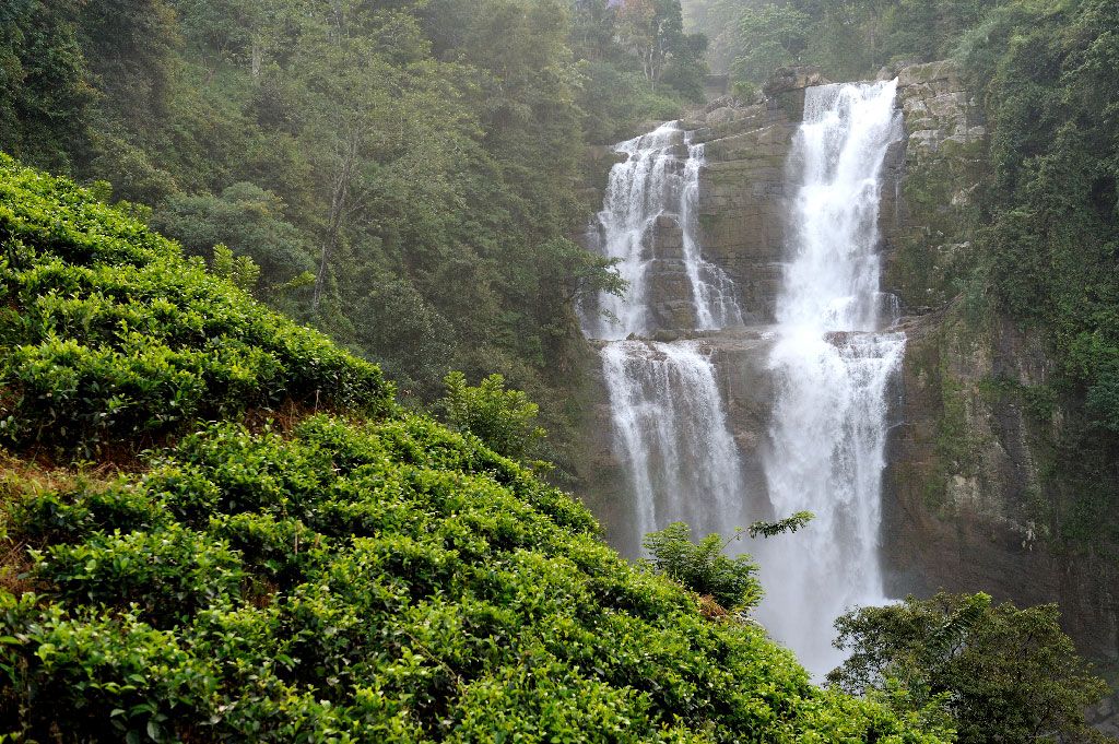 A Guide to The Pekoe Trail