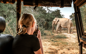 Family Friendly Luxury in Sri Lanka