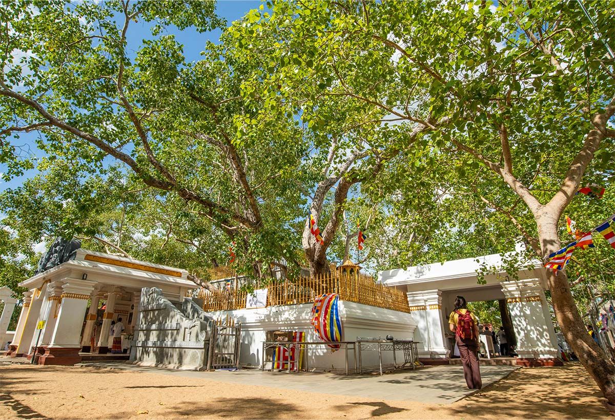 A Guide to Anuradhapura