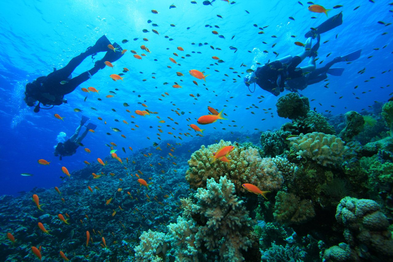 A Guide to Sri Lanka’s East Coast
