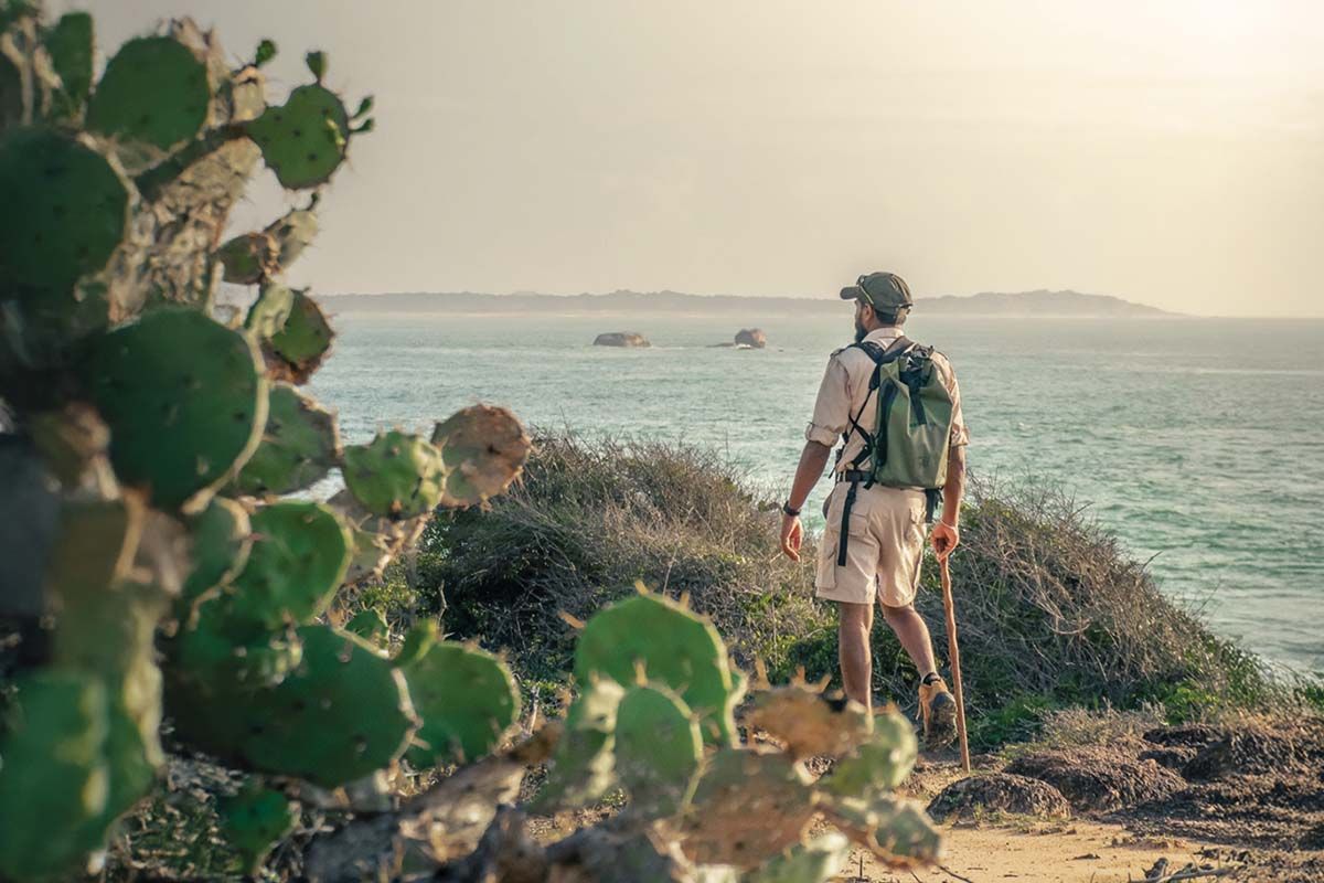 Top 5 Scenic Walking Trails in Sri Lanka