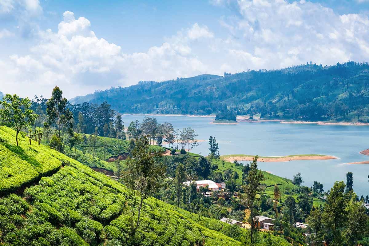 Top 5 Scenic Walking Trails in Sri Lanka