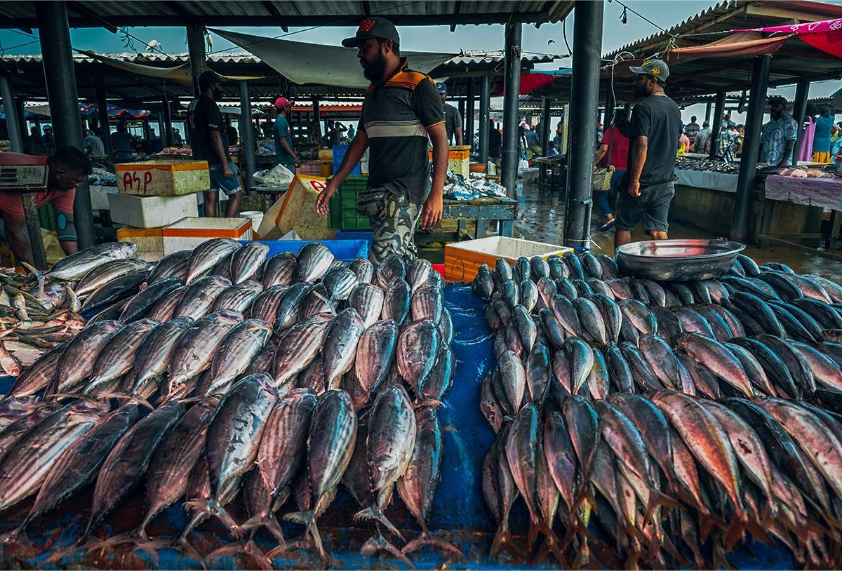 A Guide to Negombo