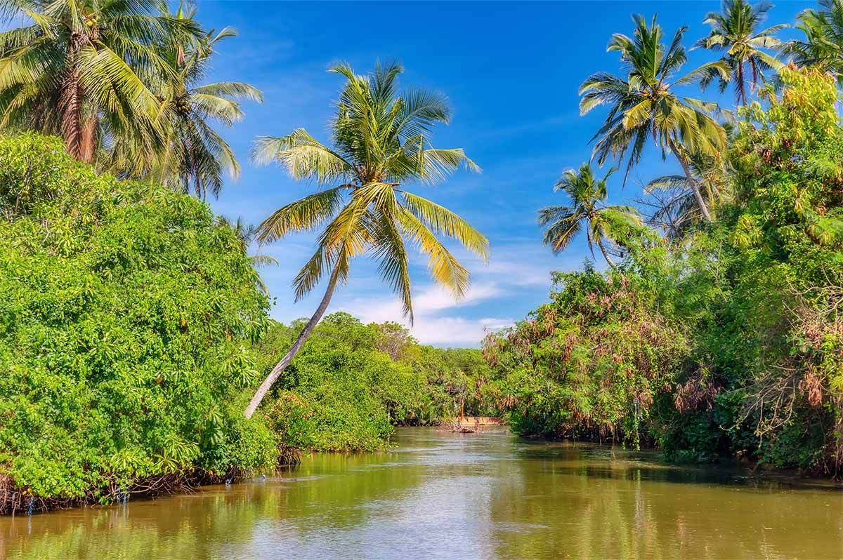 A Guide to Negombo
